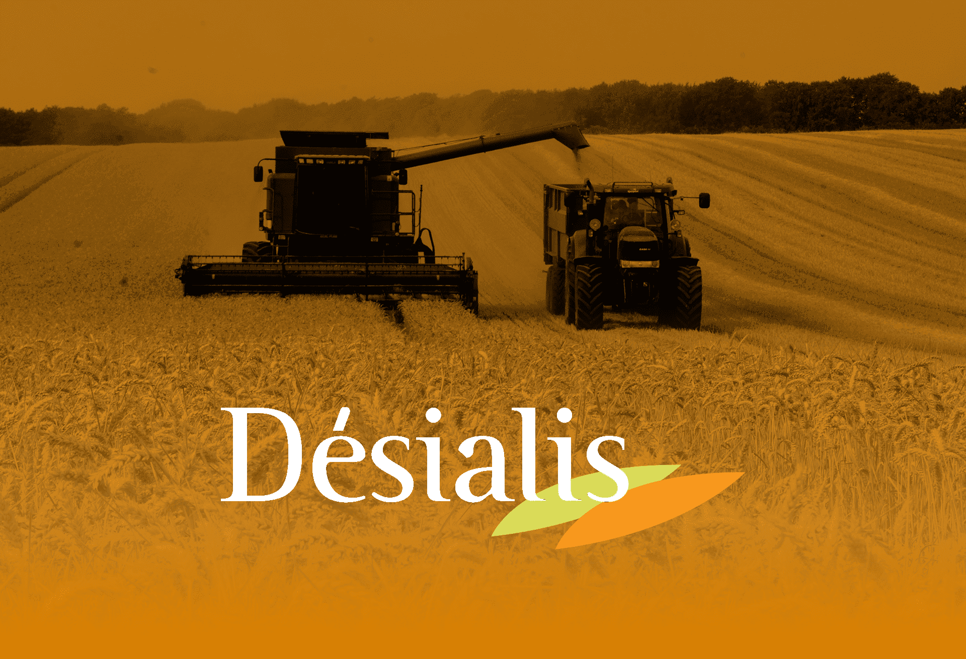 Désialis